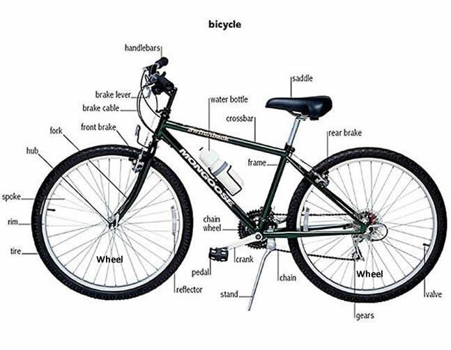 learning parts of a bicycle