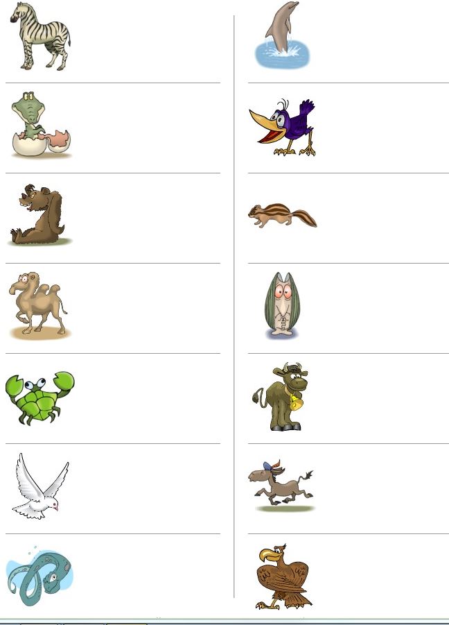 Spelling different animals English exercise