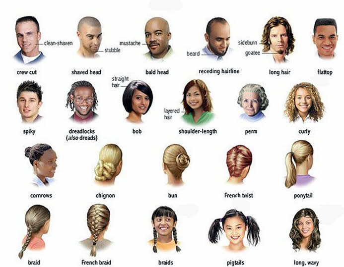 Verbs That Describe Mens Hair 17
