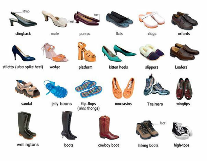 Different types of women's and men's shoes