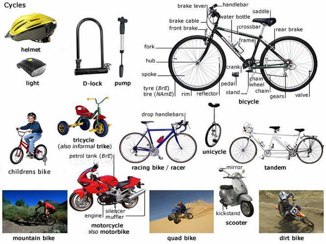 different types if cycles English lesson