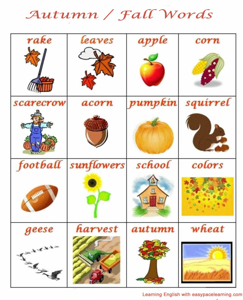 Learning the English words for autumn and fall English lesson