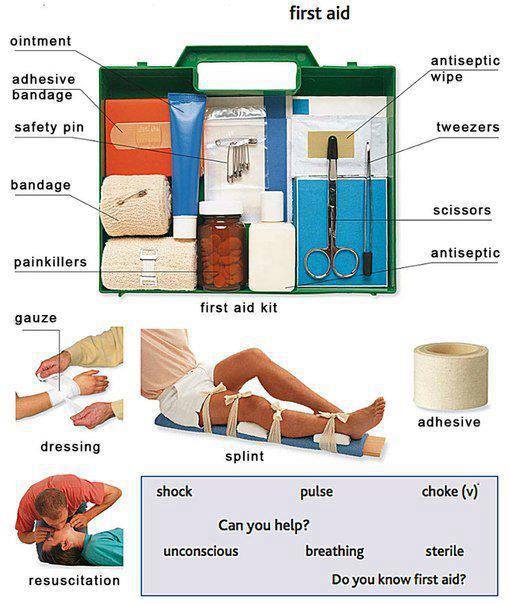Learn the vocabulary for a first aid kit