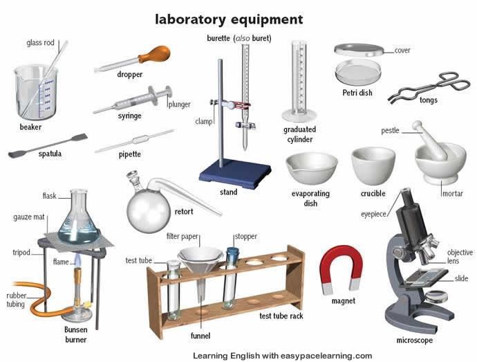 Learning the English words for laboratory equipment and their parts