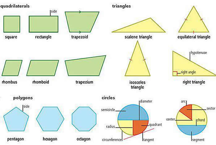 Learning about shapes