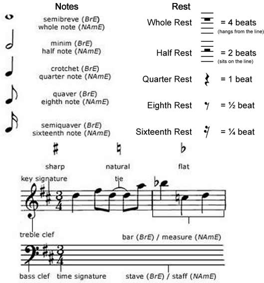 learn the vocabulary for music notation