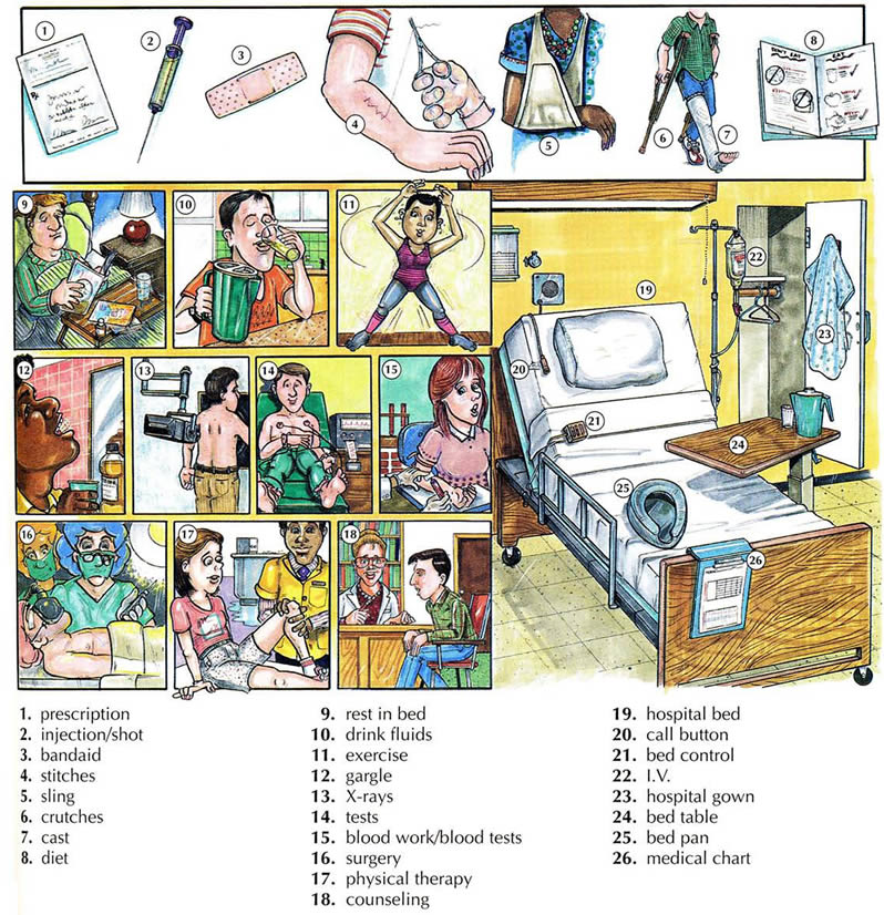 Learning the vocabulary for medical treatment and the hospital using pictures