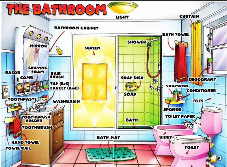 Learning the English words for bathroom items