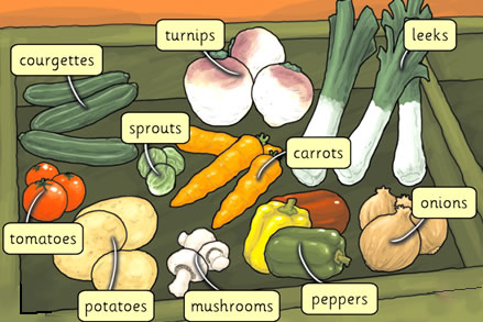 Vegetables you can buy in a supermarket
