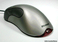 Computer mouse English lesson learning computer accessories