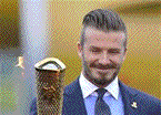 David Beckham is a very famous person