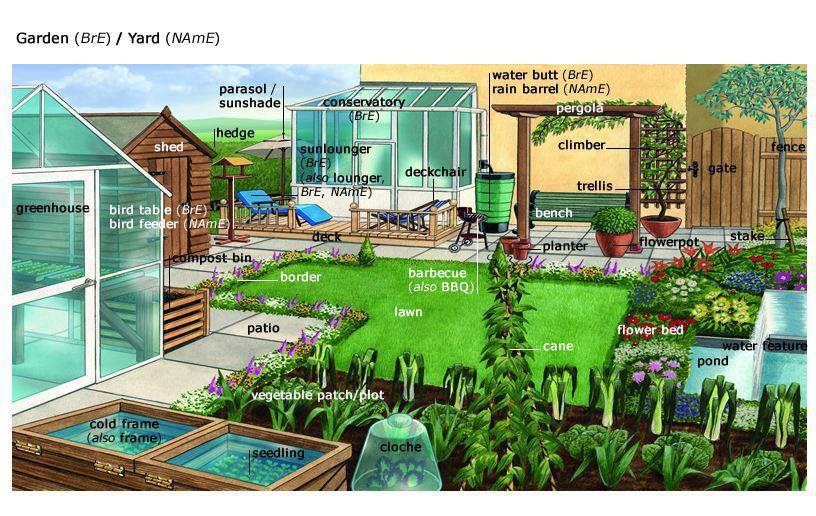 Learning the vocabulary for a garden / yard using pictures