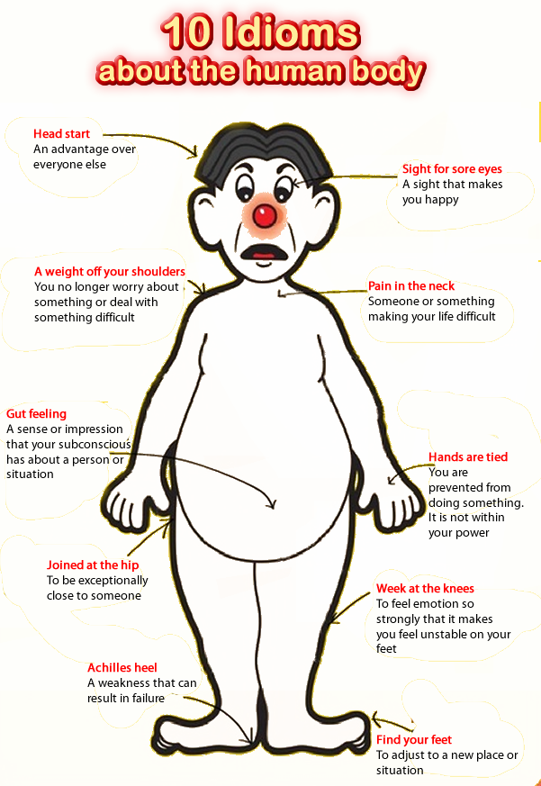 Idioms about the human body lesson