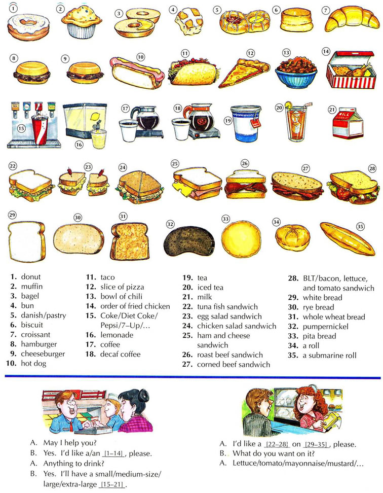 Fast food and sandwiches English lesson