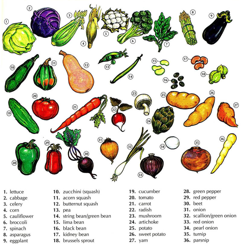 Learn the English vocabulary for vegetables using pictures