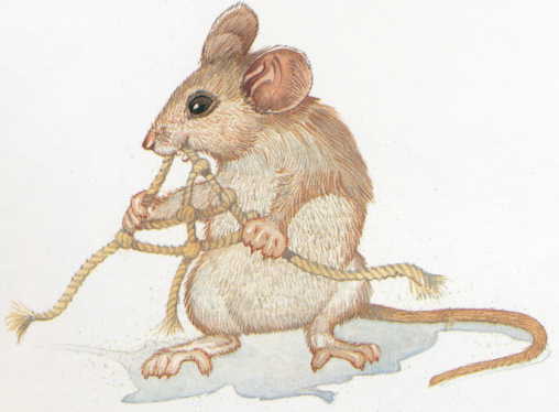 The mouse freeing the lion